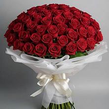Букет 101 Красная роза Блэк Мэджик в Славный