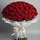 Букет 101 Красная роза Блэк Мэджик в Славный