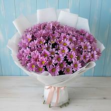 Букет цветов из:  Хризантемы #REPLACE_PRED# Славный