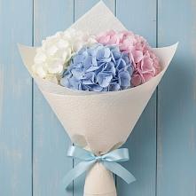 Букет цветов из:  Гортензия в Славный