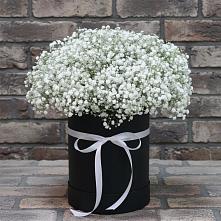 Цветочная композиция из Гипсофила в шляпной коробке в Славный