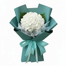 Букет цветов из:  Гортензия в Славный